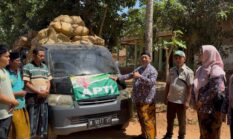 KEPALA DKPP SUMENEP, LEPAS PERDANA PANEN TEMBAKAU VARIETAS LOKAL PRANCAK 95, KEMANA ?